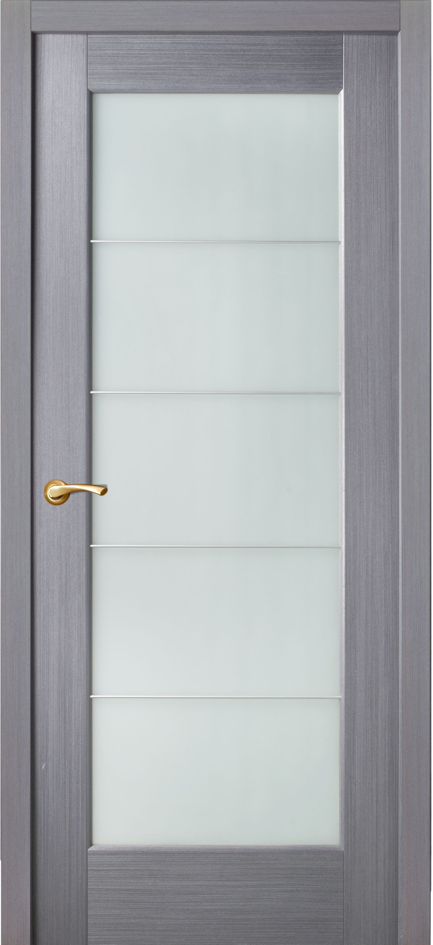 Door grey color in the style of techno with five frosted glass separated by aluminum partitions