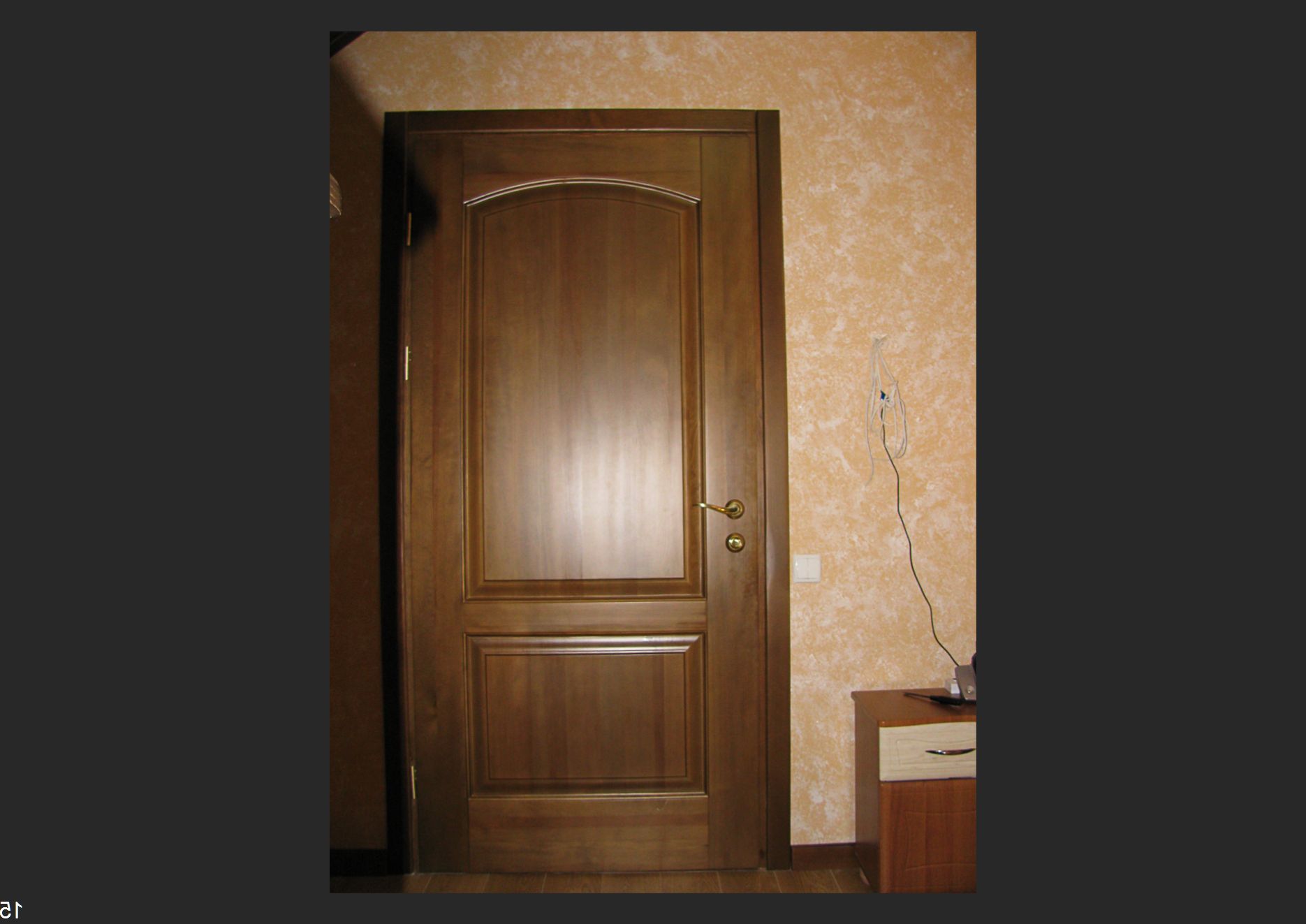 Hinged wooden interior door