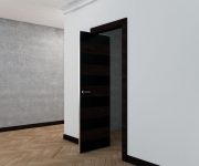 Modern black swing-slide door