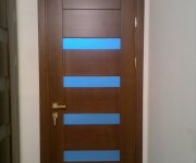 The door is ultra-modern techno style with blue glass