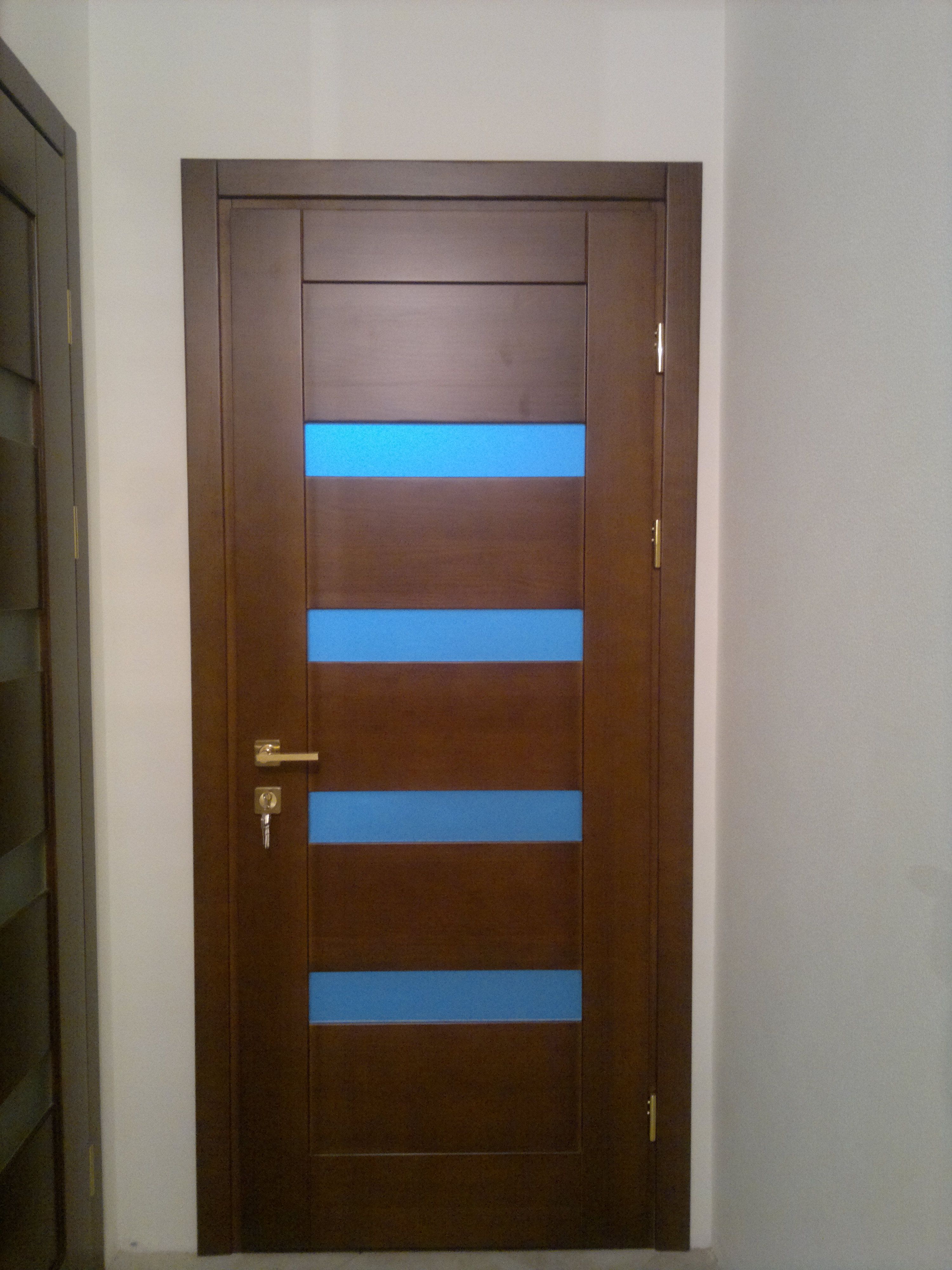 The door is ultra-modern techno style with blue glass