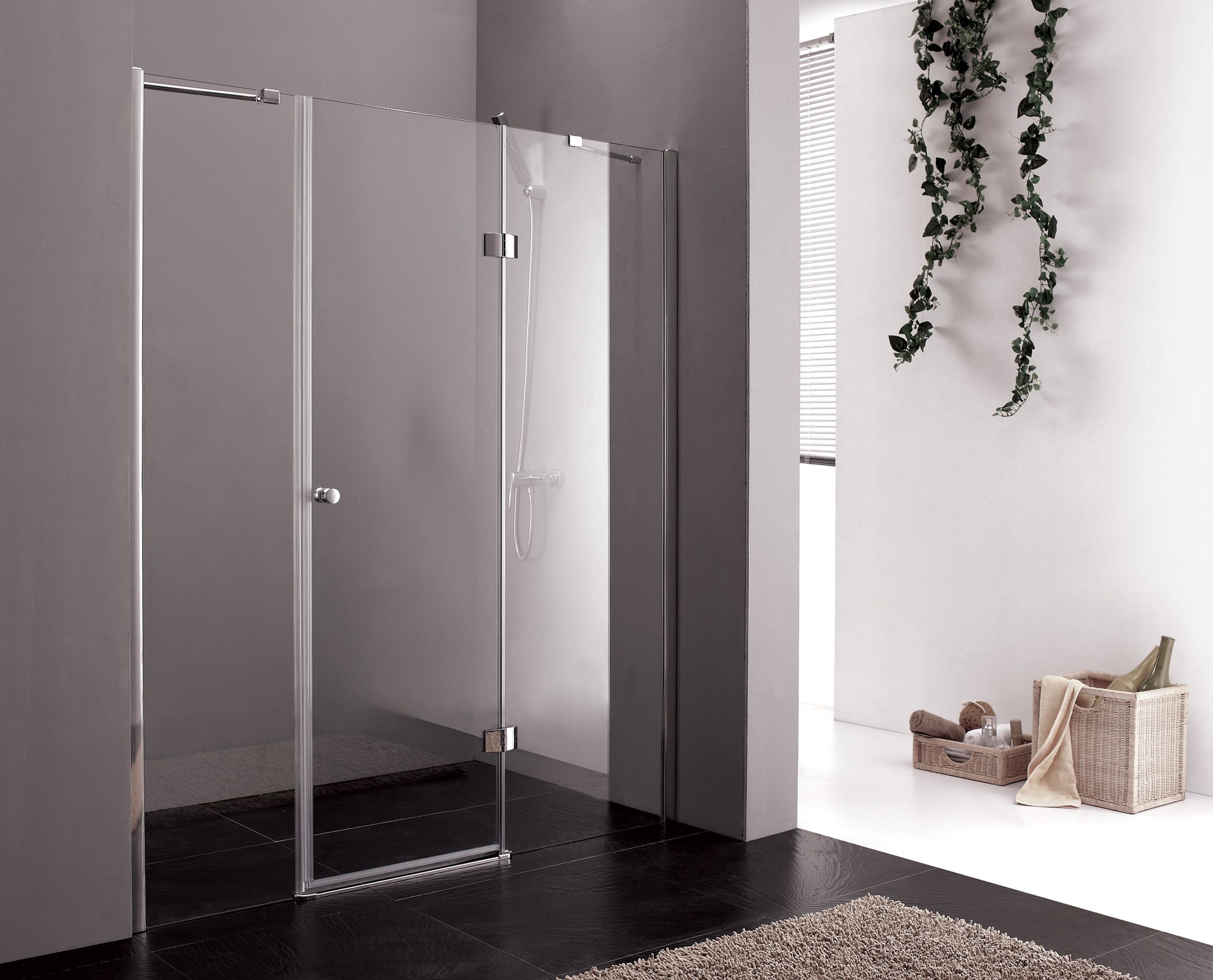 Transparent glass door shower