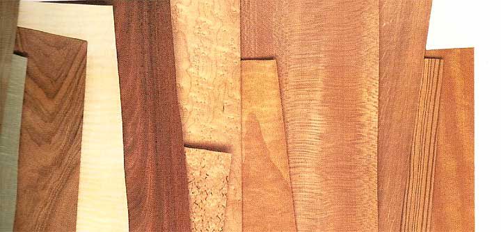 The color of the veneer - Veneer doors, what is it?