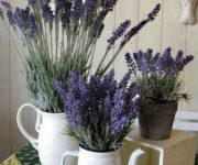 Kitchen Provence Flowers in porcelain vases 180x150 - Provence Style Kitchens – 100 ideas for interior